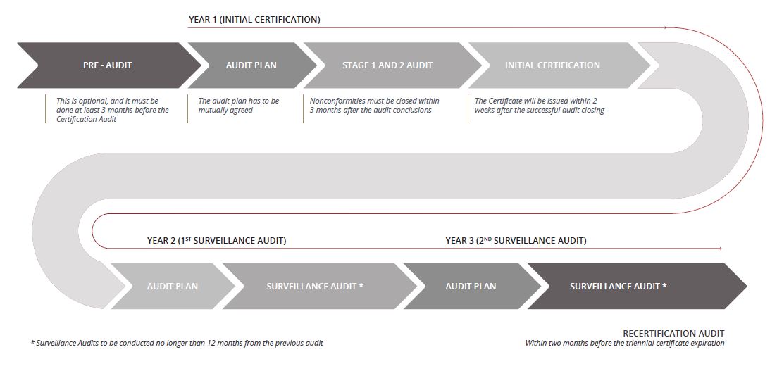 MS-Certification-process